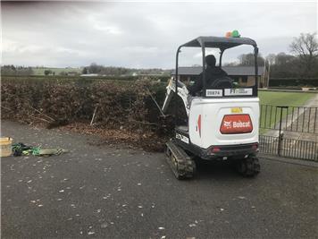  - HEDGE REMOVAL